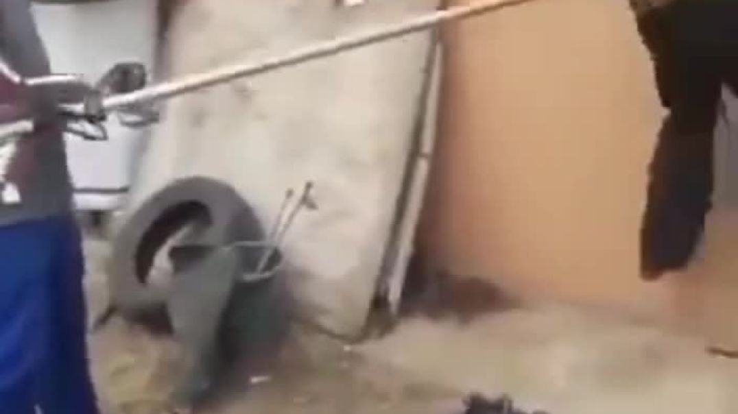 Weed wacker torture
