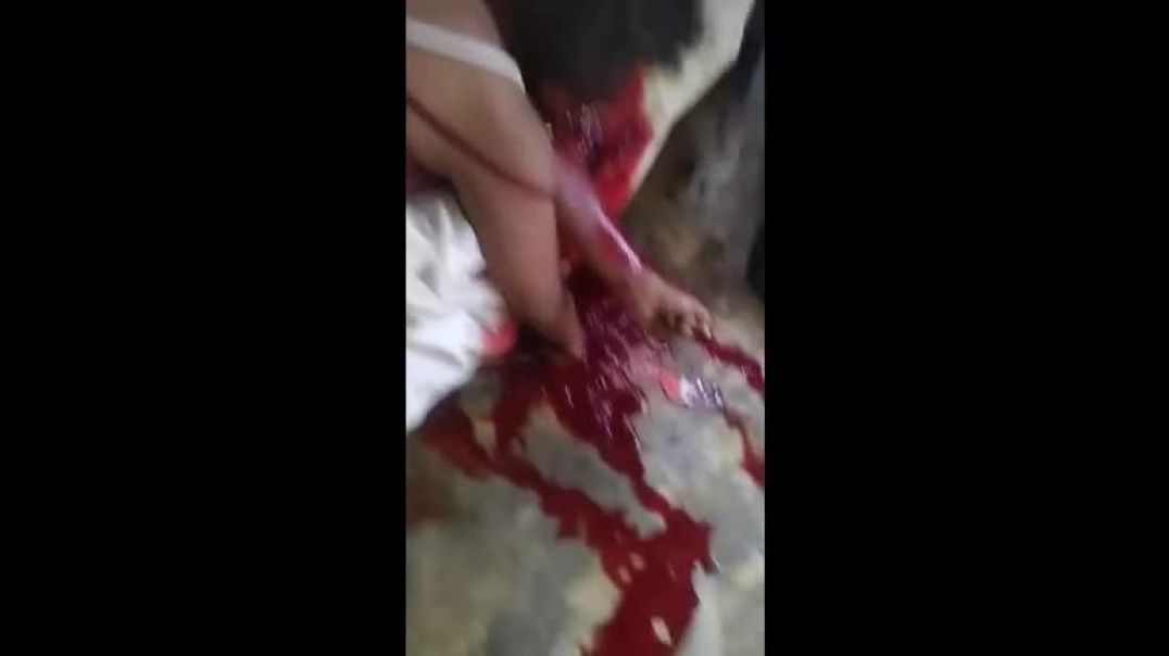 Many stuff of gore